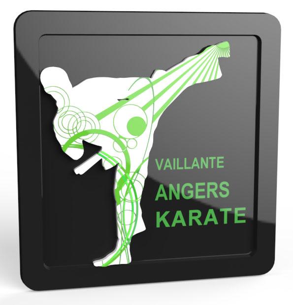 Image de l'article VAILLANTE KARATE