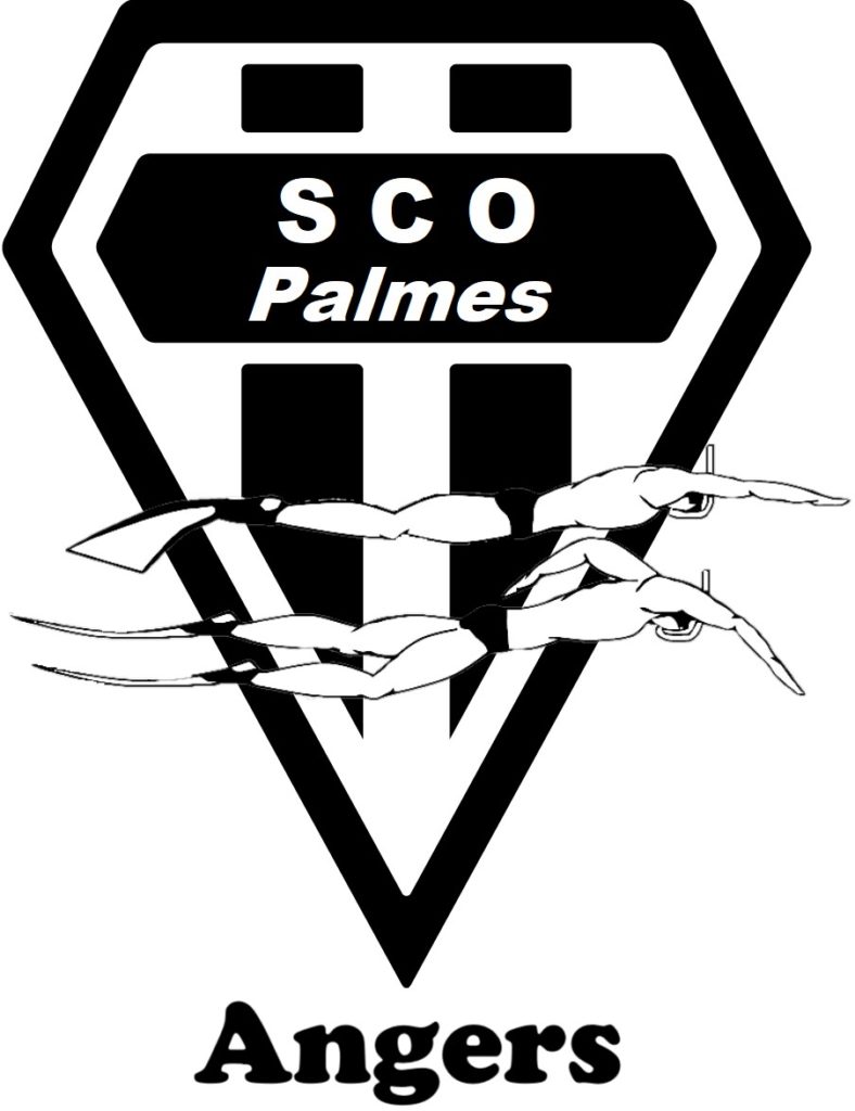 Image de l'article S.C.O. NAGE AVEC PALMES