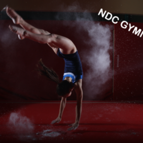 Image de l'article Gymnastique : Départementale Ainées jeunesses