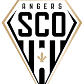 Image de l'article L1 – SCO Angers – Reims