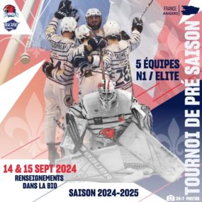 Image de l'article Tournoi Elite Roller Hockey